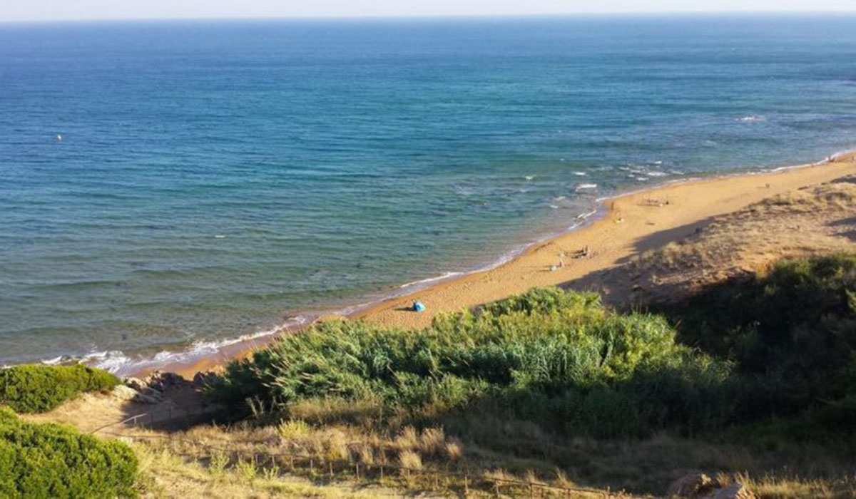 Fico d'India Calabria - Crotone visuel 1/1