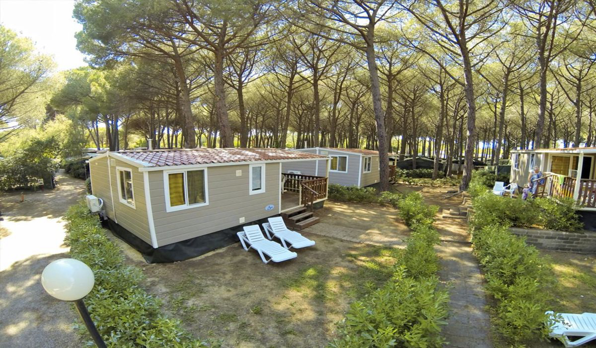 Free Beach Toscana - Marina di Bibbona visuel 5/8