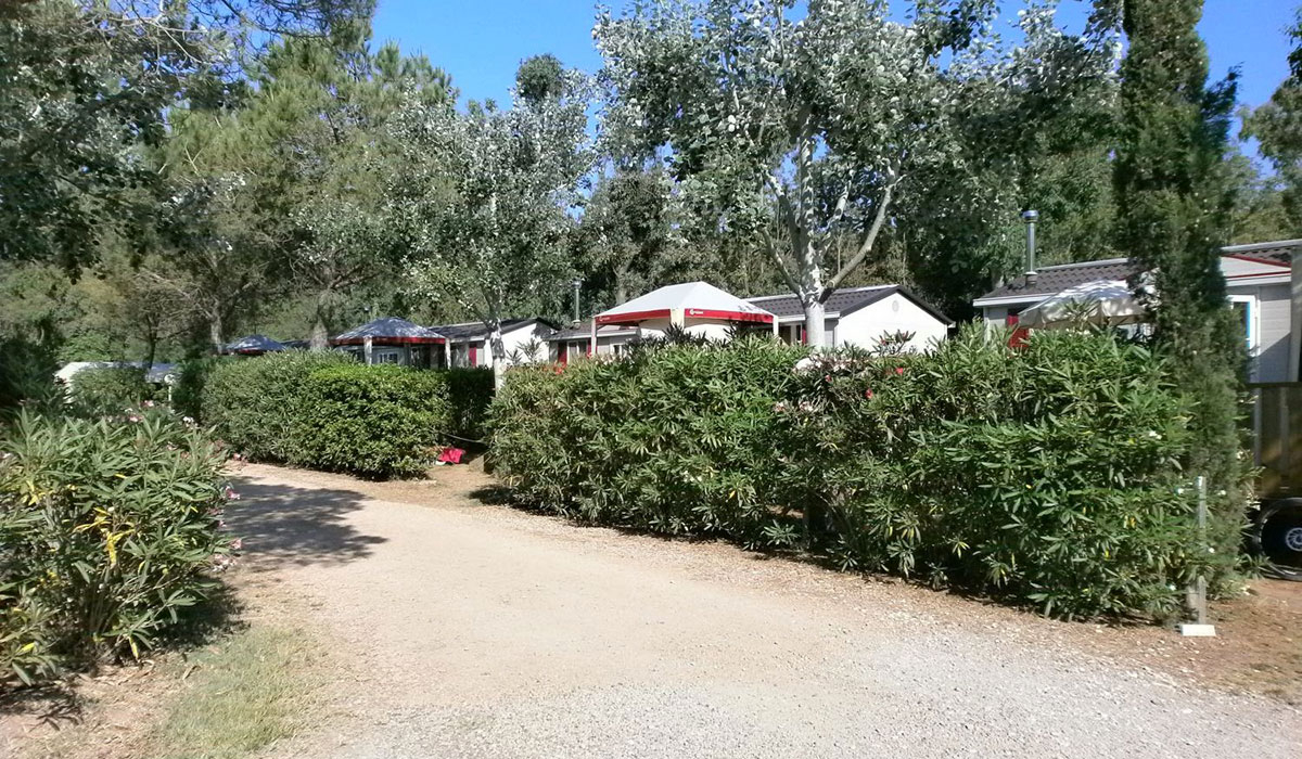 Free Time Toscana - Marina di Bibbona visuel 11/13