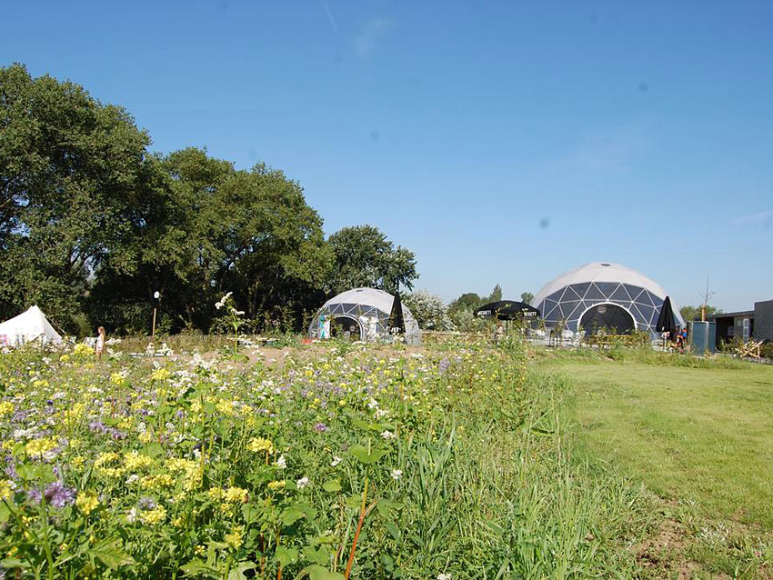 Glamping Ecochique Flandes - Westouter visuel 1/1 Glamping Ecochique Flandes - Westouter visuel 1/1