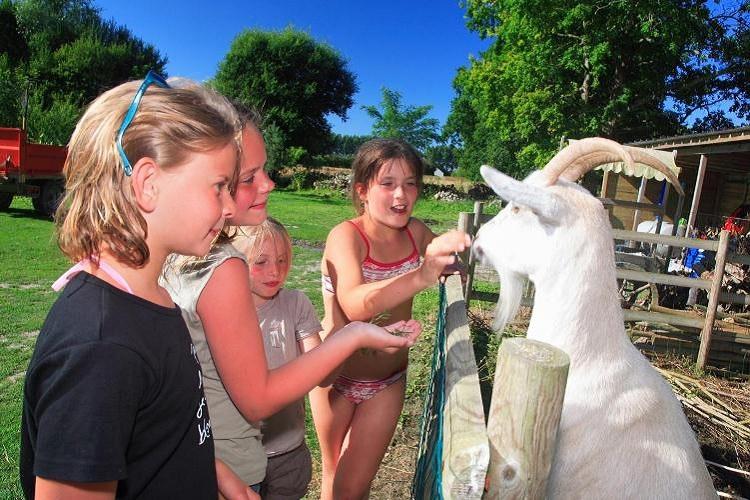 Haliotis Baja Normandía - Pontorson visuel 3/14 Haliotis Baja Normandía - Pontorson visuel 3/14