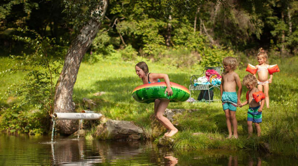 Hilserhof Baden-Wurtemberg - Triberg im Schwarzwald visuel 3/6