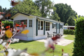 Houtum Amberes - Kasterlee visuel 7/7