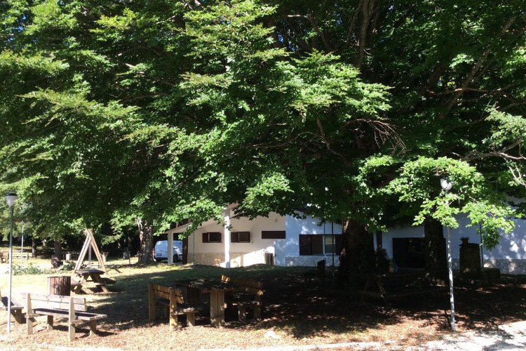 Il Ceppo Abruzos - Teramo visuel 6/6