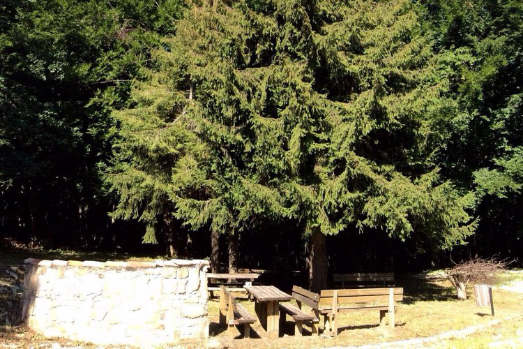 Il Ceppo Abruzos - Teramo visuel 5/6