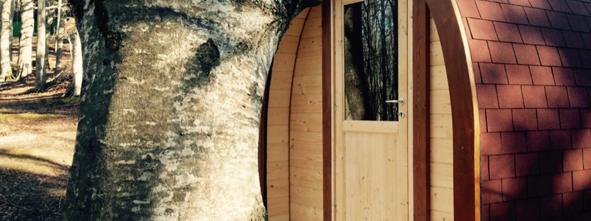 Il Ceppo Abruzos - Teramo visuel 1/6