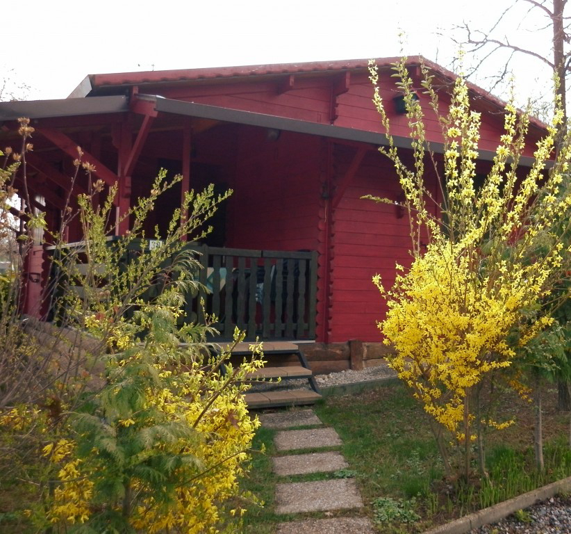 Il Melo Piamonte - Peveragno visuel 3/4