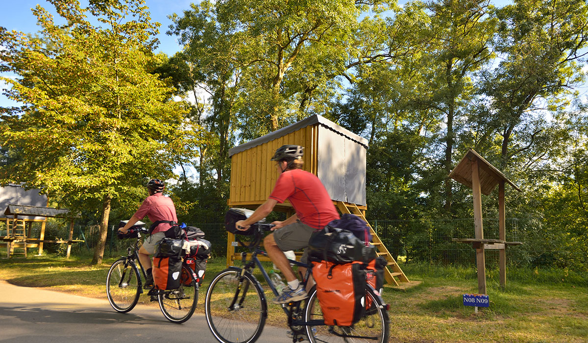 Ile d'Offard Países del Loira - Saumur visuel 8/22 Ile d'Offard Países del Loira - Saumur visuel 8/22