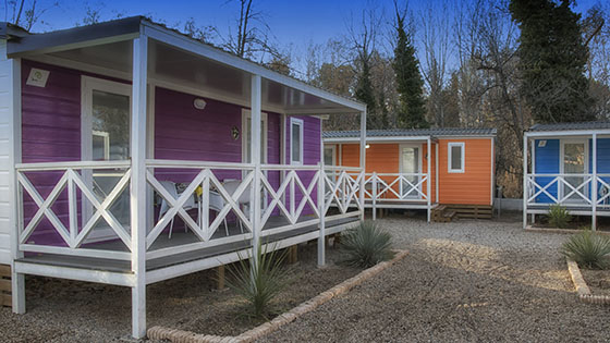 Internacional Aranjuez Madrid - Aranjuez visuel 3/4