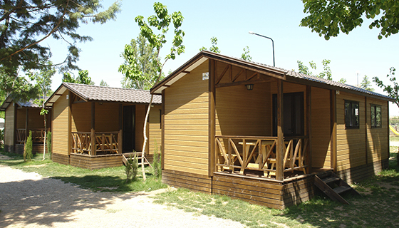 Internacional Aranjuez Madrid - Aranjuez visuel 4/4