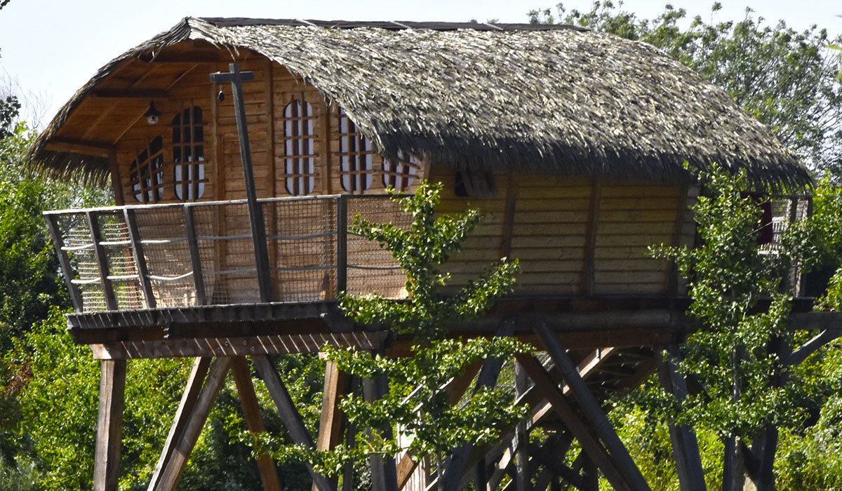 International de Maisons-Laffitte Isla de Francia - Maisons-Laffitte visuel 22/25 International de Maisons-Laffitte Isla de Francia - Maisons-Laffitte visuel 22/25