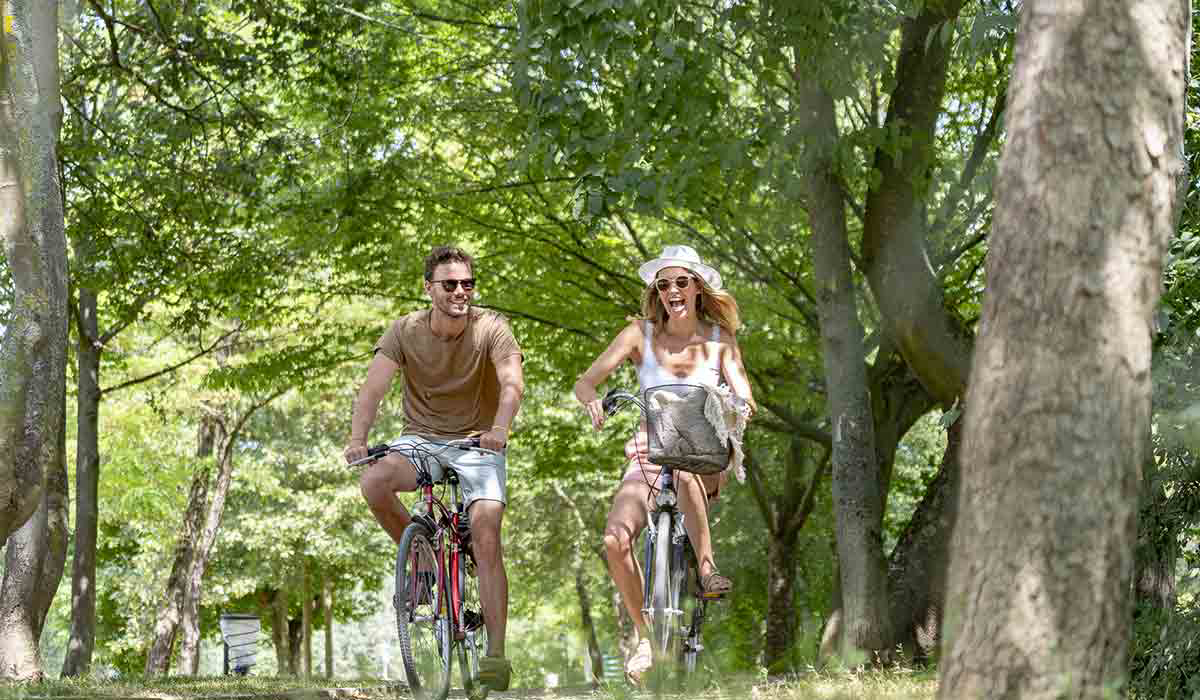 International de Maisons-Laffitte Isla de Francia - Maisons-Laffitte visuel 15/25 International de Maisons-Laffitte Isla de Francia - Maisons-Laffitte visuel 15/25