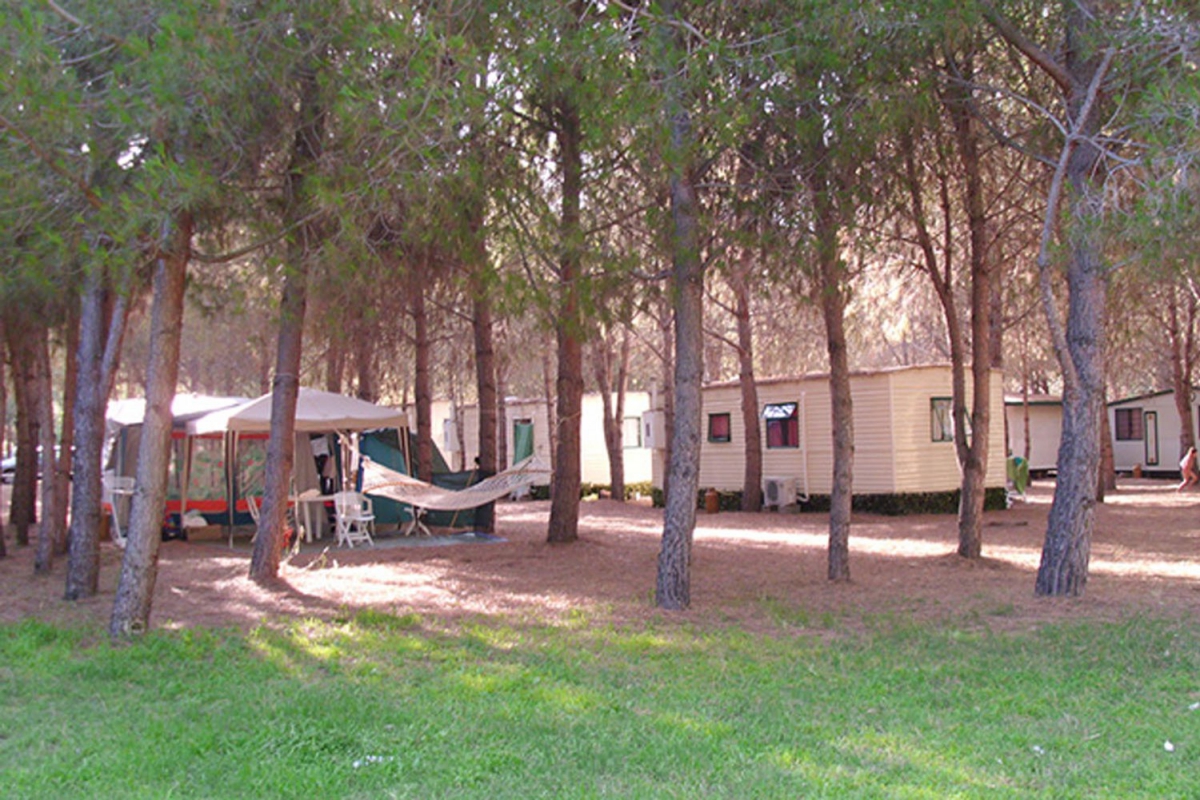 Iscrixedda Cerdeña - Lotzorai visuel 5/8