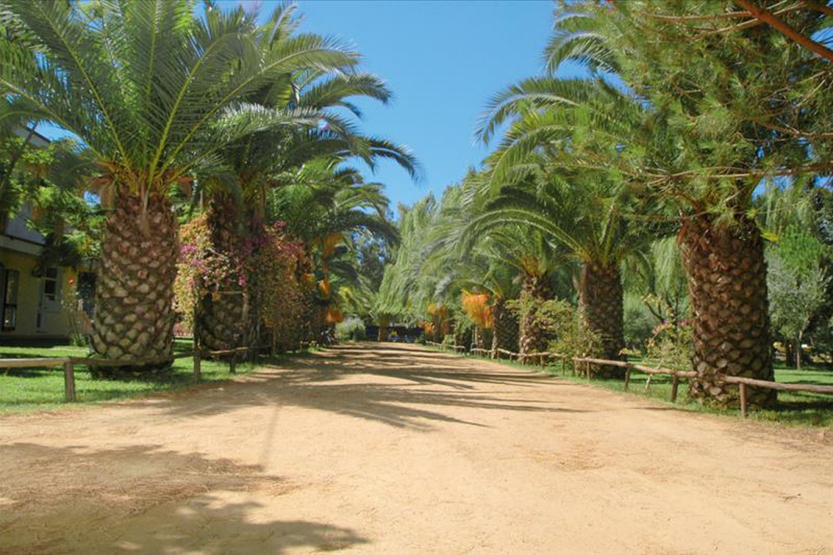 Iscrixedda Cerdeña - Lotzorai visuel 8/8