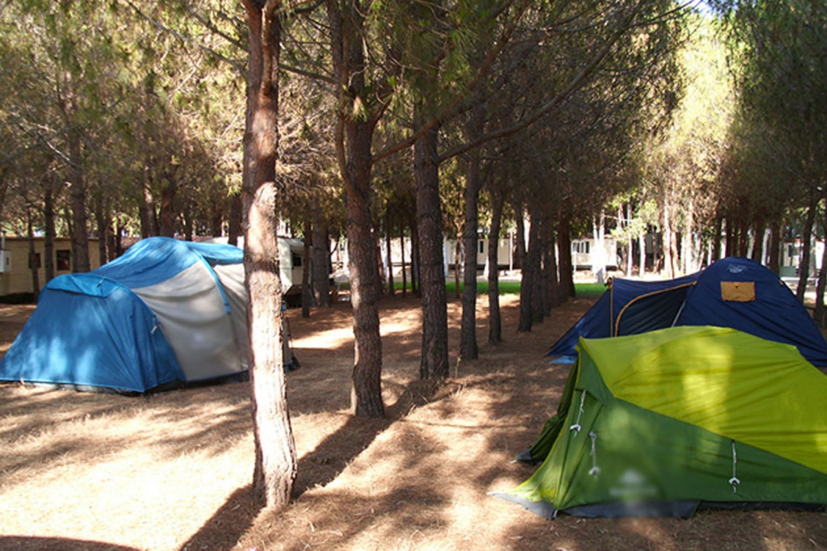 Iscrixedda Cerdeña - Lotzorai visuel 6/8