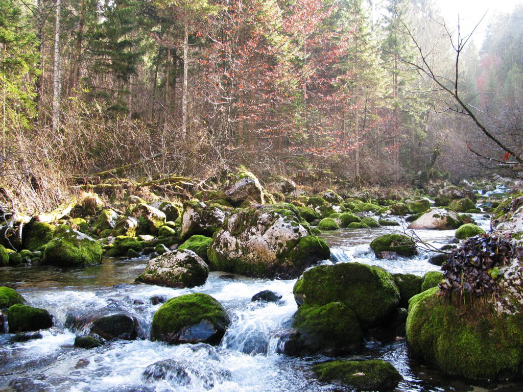 Kamp Jelincic Gorizia - Bovec visuel 3/3