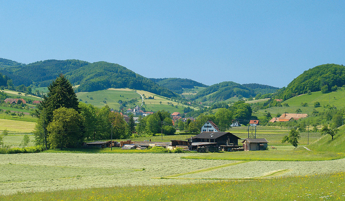 Kinzigtal Baden-Wurtemberg - steinach visuel 4/4