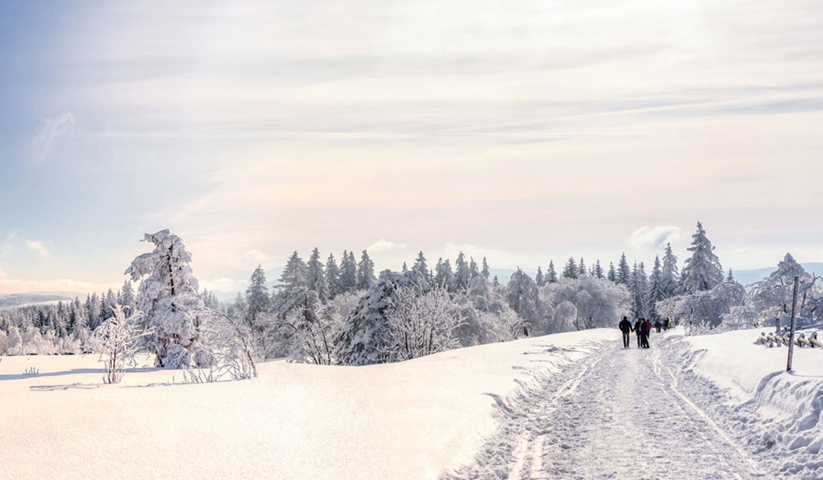 Kinzigtal Baden-Wurtemberg - steinach visuel 3/4