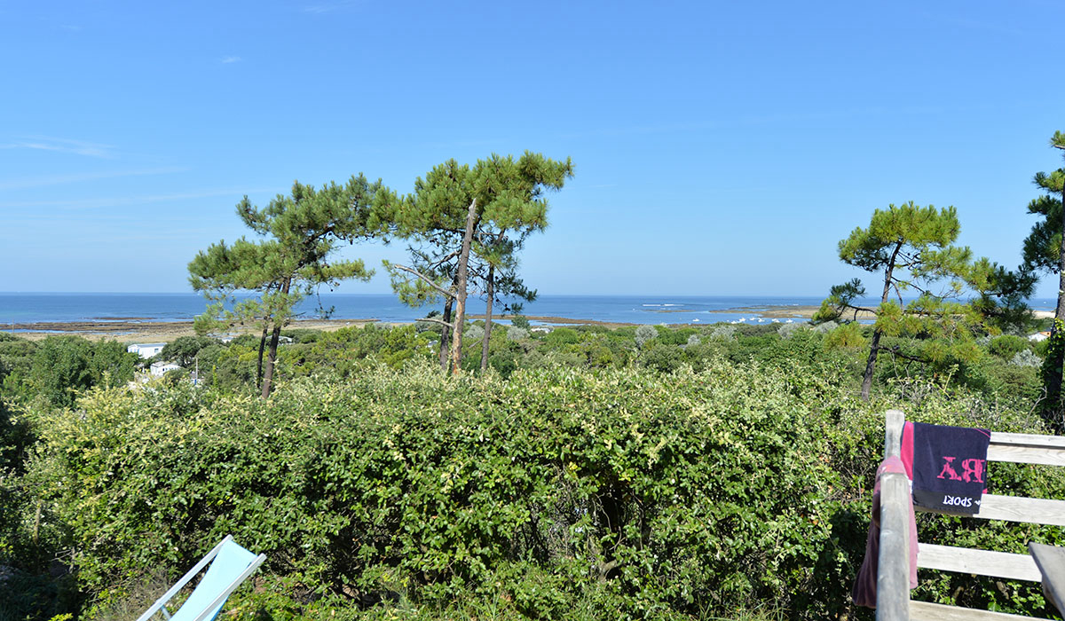 L'Anse des Pins Poitou-Charentes - Saint-Georges-d'Oléron visuel 4/15 L'Anse des Pins Poitou-Charentes - Saint-Georges-d'Oléron visuel 4/15