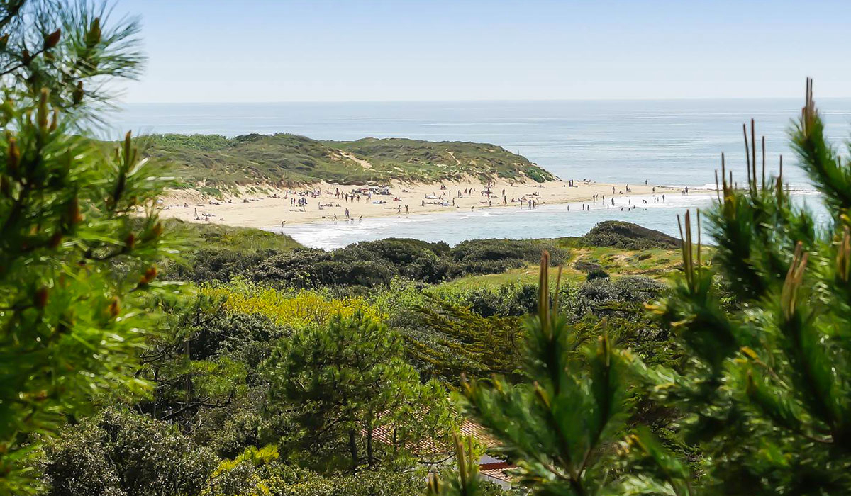 L'Anse des Pins Poitou-Charentes - Saint-Georges-d'Oléron visuel 15/15 L'Anse des Pins Poitou-Charentes - Saint-Georges-d'Oléron visuel 15/15