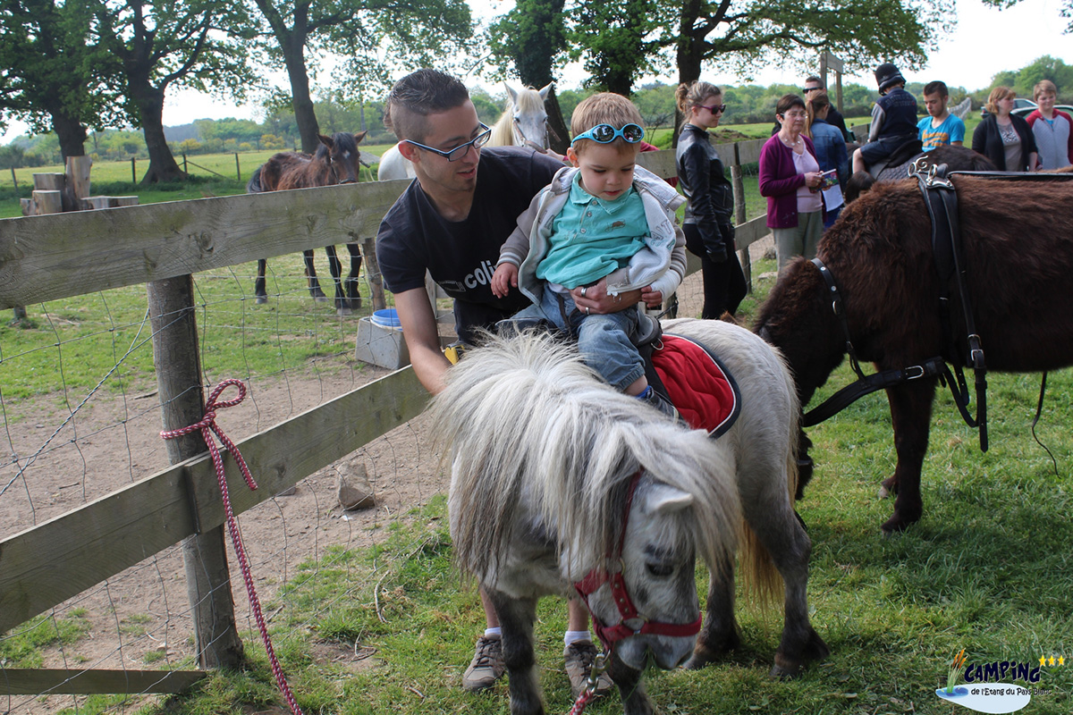 L'Etang du Pays Blanc Países del Loira - Guérande visuel 22/26 L'Etang du Pays Blanc Países del Loira - Guérande visuel 22/26