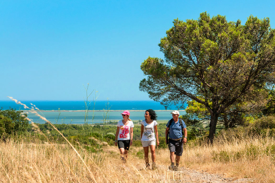 L'Europe Languedoc-Rosellón - Vic-la-Gardiole visuel 2/15