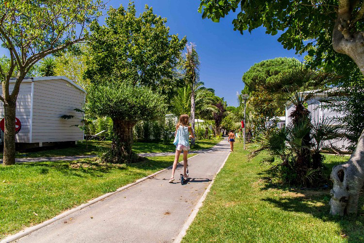 L'Hippocampe Languedoc-Rosellón - Argelès-sur-Mer visuel 4/7 L'Hippocampe Languedoc-Rosellón - Argelès-sur-Mer visuel 4/7