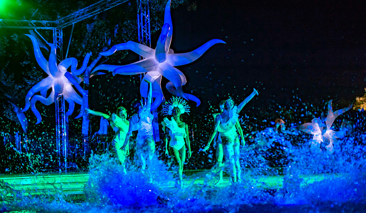 L'Hippocampe Provenza-Alpes-Costa Azul - Volonne visuel 29/36