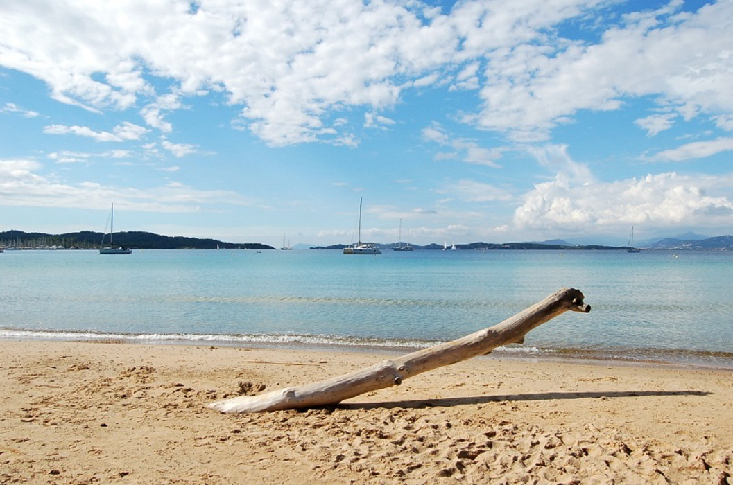 L'Ile d'Or Provenza-Alpes-Costa Azul - Hyères visuel 3/32 L'Ile d'Or Provenza-Alpes-Costa Azul - Hyères visuel 3/32