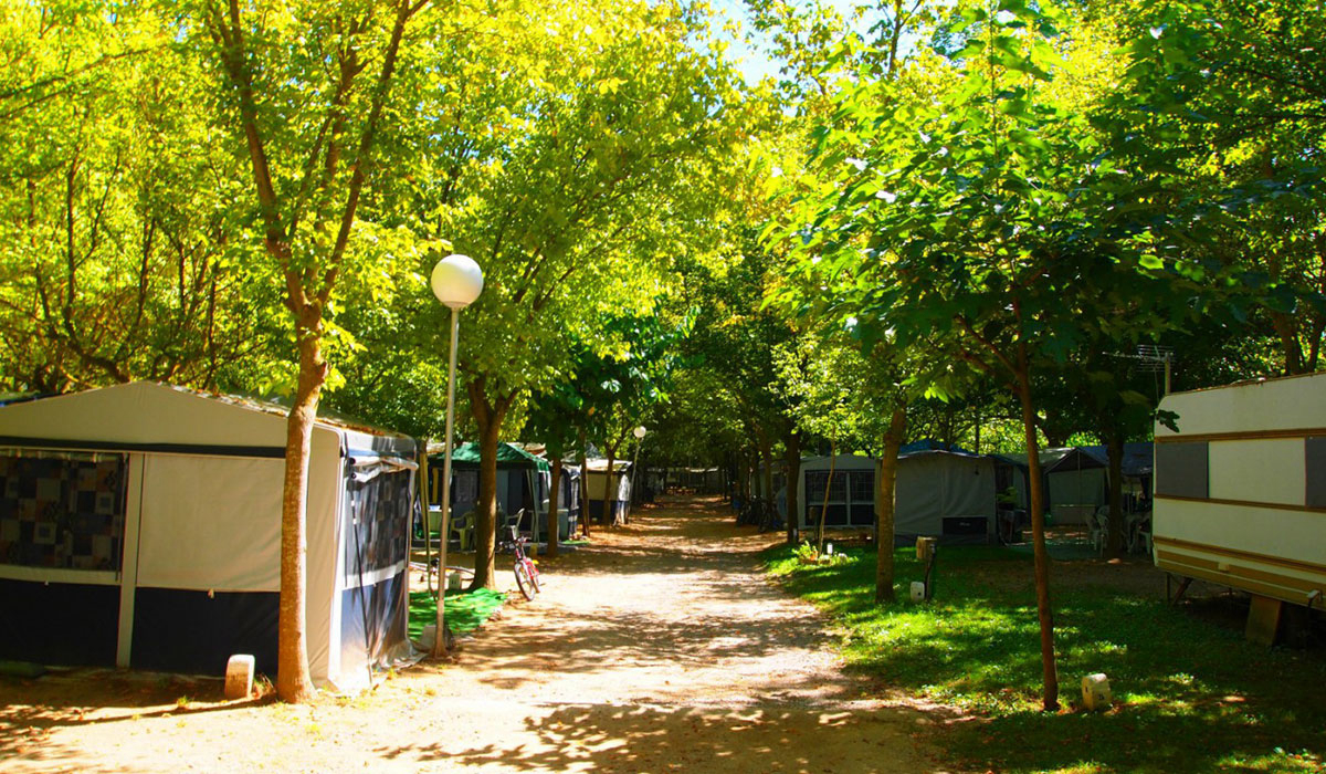 L'Illa Cataluña - Sant Quirze Safaja visuel 3/3