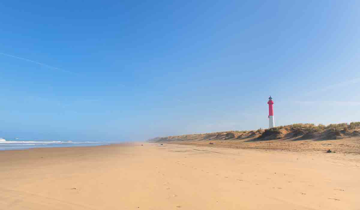L'Orée du Bois Poitou-Charentes - Les Mathes-La Palmyre visuel 28/28
