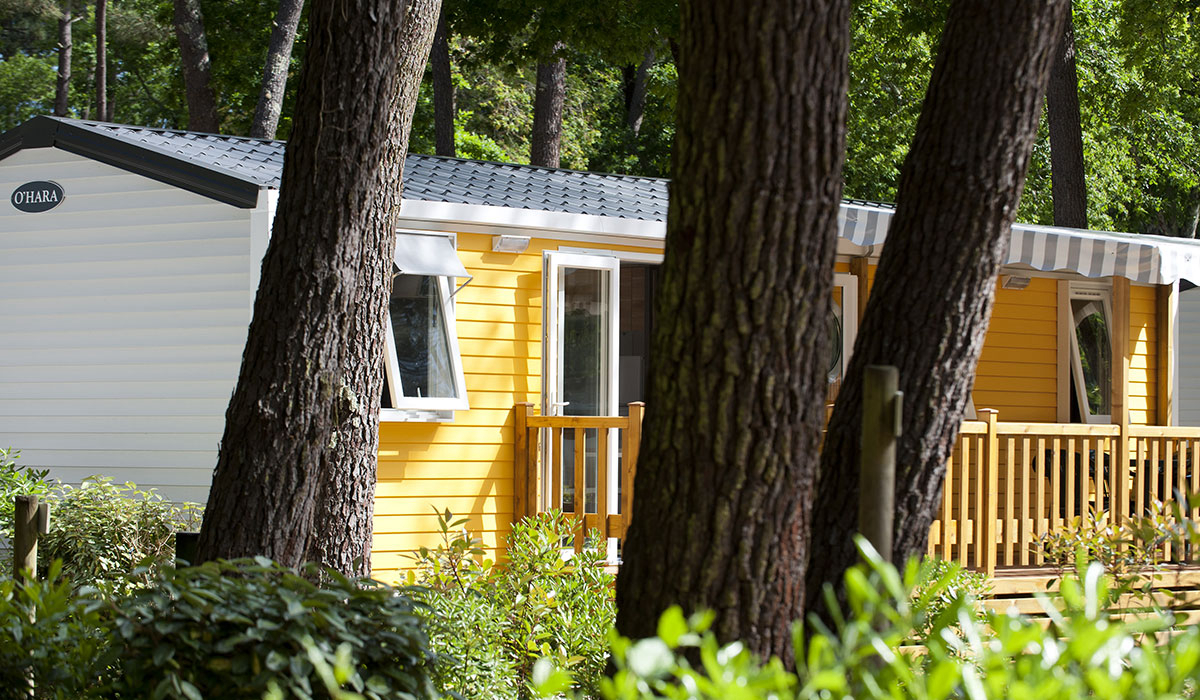 L'Orée du Bois Poitou-Charentes - Les Mathes-La Palmyre visuel 27/28