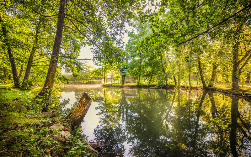 L'imprevu Ródano-Alpes - Vaulnaveys-le-Bas visuel 13/15 L'imprevu Ródano-Alpes - Vaulnaveys-le-Bas visuel 13/15