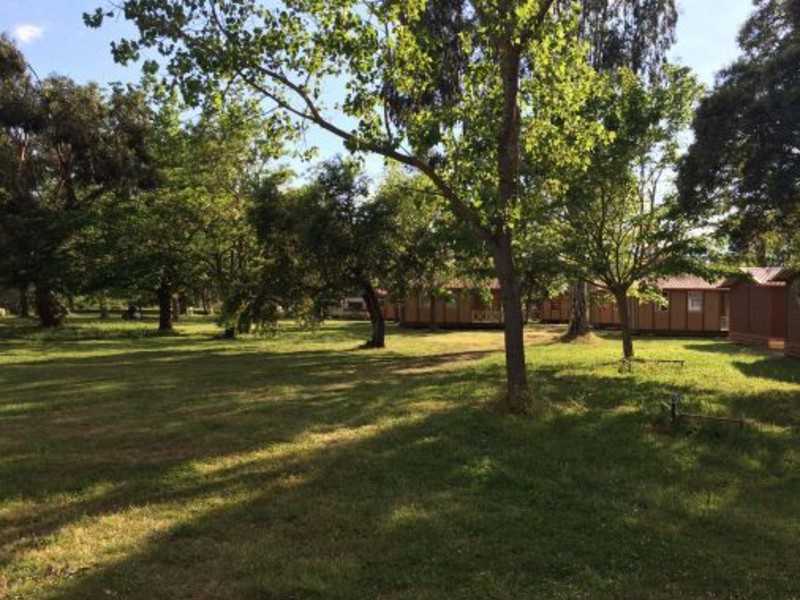 L'oso Córcega - Porto-Vecchio visuel 4/4 L'oso Córcega - Porto-Vecchio visuel 4/4