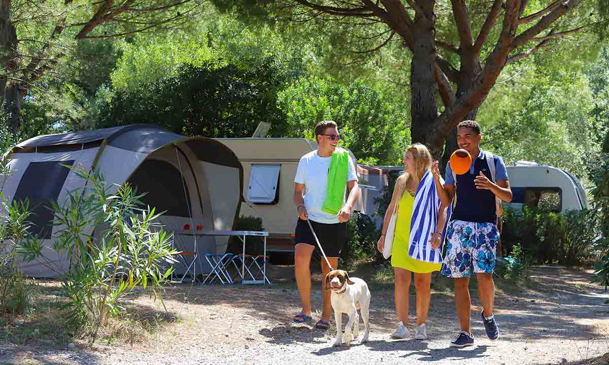 L'île des Papes Languedoc-Rosellón - Villeneuve-lès-Avignon visuel 10/12 L'île des Papes Languedoc-Rosellón - Villeneuve-lès-Avignon visuel 10/12