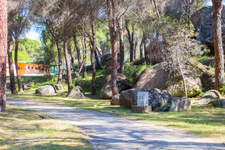 La Ardilla Roja Madrid - San Martín de Valdeiglesias visuel 2/3