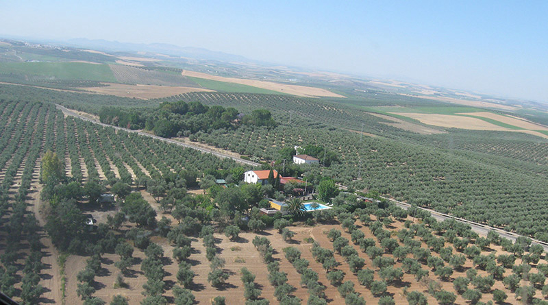 La Campiña Andalucía - Santaella visuel 3/3