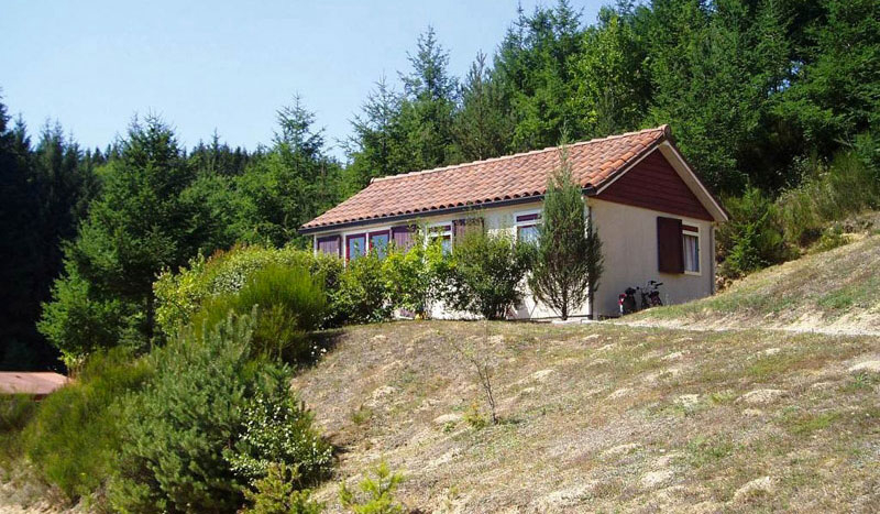 La Chanterelle Auvernia - Champagnac-le-Vieux visuel 2/9