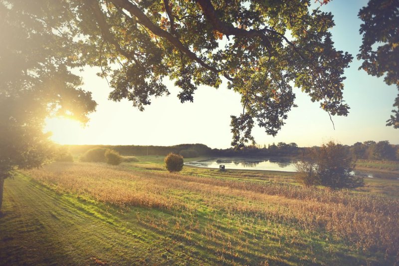Domaine la Chouette Cabane Países del Loira - Pommerieux visuel 13/18