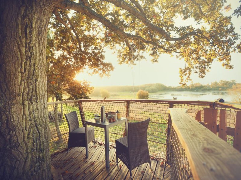 Domaine la Chouette Cabane Países del Loira - Pommerieux visuel 12/18