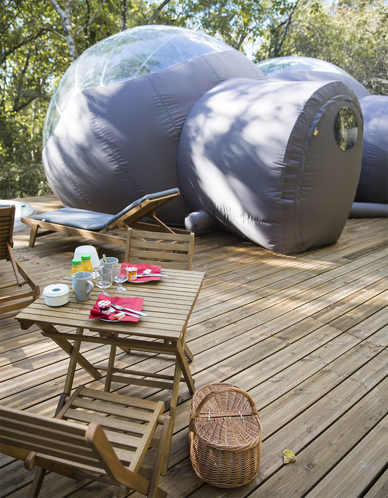 La Chrysalide  Château de Saint-Martin - Aquitania - Carcans visuel 4/6