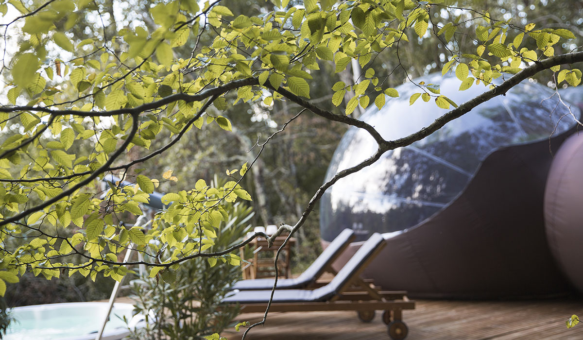 La Chrysalide  Château de Saint-Martin - Aquitania - Carcans visuel 2/6