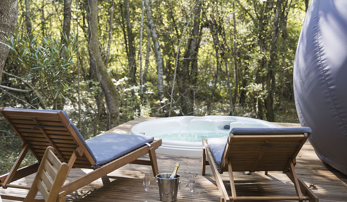 La Chrysalide  Château de Saint-Martin - Aquitania - Carcans visuel 3/6