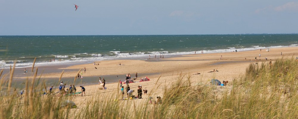 La Cle Des Champs Poitou-Charentes - Arces visuel 2/6 La Cle Des Champs Poitou-Charentes - Arces visuel 2/6