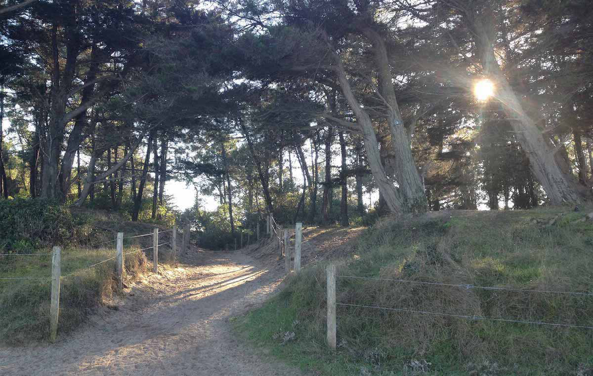La Clère Países del Loira - Noirmoutier-en-l'Île visuel 2/3 La Clère Países del Loira - Noirmoutier-en-l'Île visuel 2/3