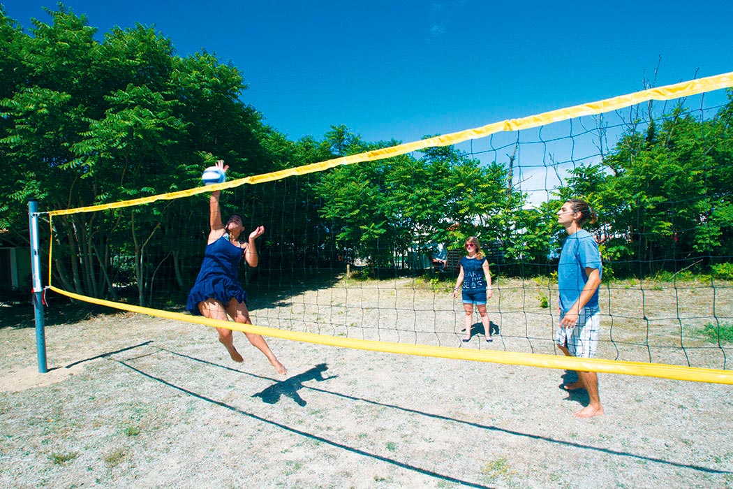 La Côte Sauvage Poitou-Charentes - Saint-Clément-des-Baleines visuel 2/17 La Côte Sauvage Poitou-Charentes - Saint-Clément-des-Baleines visuel 2/17