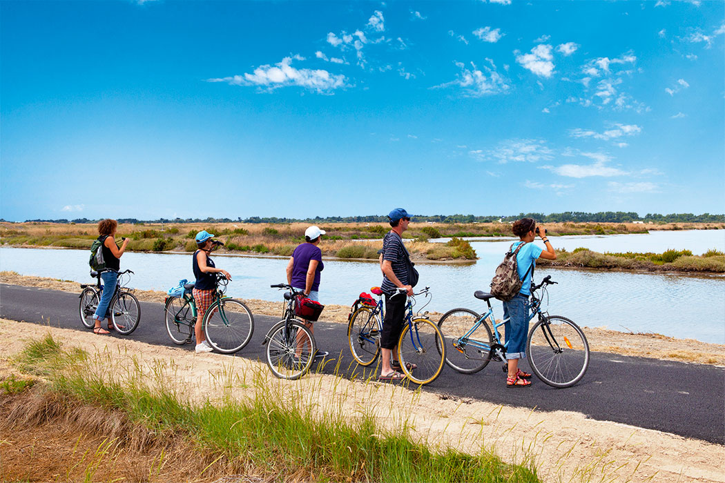 La Côte Sauvage Poitou-Charentes - Saint-Clément-des-Baleines visuel 1/17 La Côte Sauvage Poitou-Charentes - Saint-Clément-des-Baleines visuel 1/17
