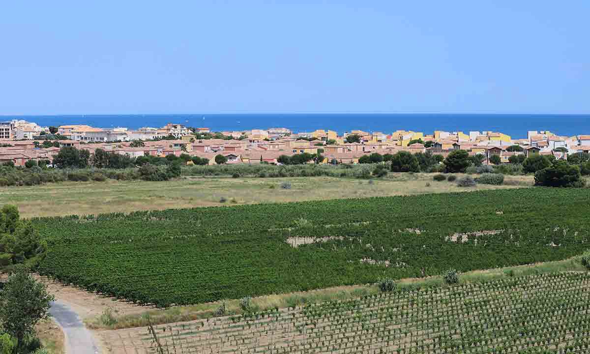Campéole La Côte des Roses Languedoc-Rosellón - Narbonne-Plage visuel 27/41