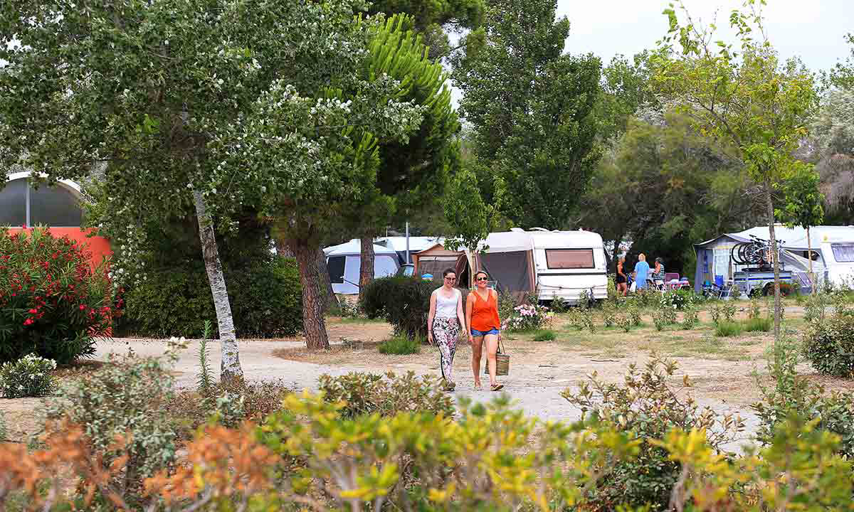 Campéole La Côte des Roses Languedoc-Rosellón - Narbonne-Plage visuel 21/41