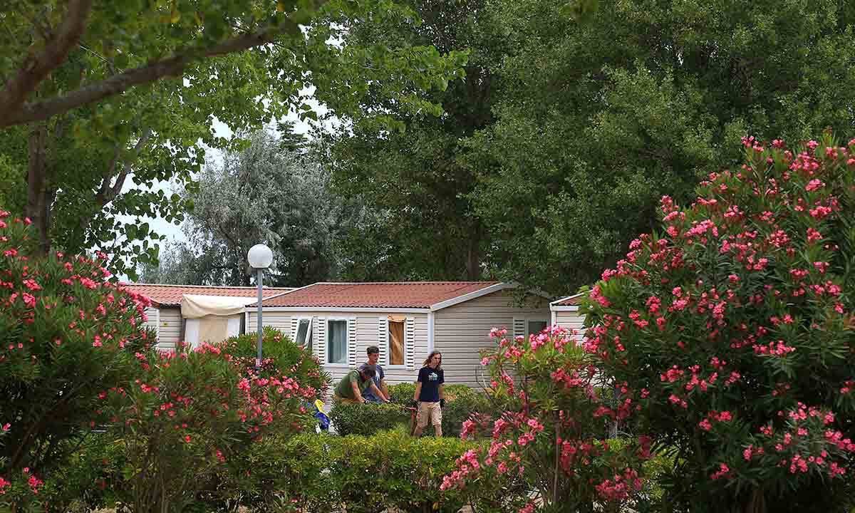 Campéole La Côte des Roses Languedoc-Rosellón - Narbonne-Plage visuel 23/41